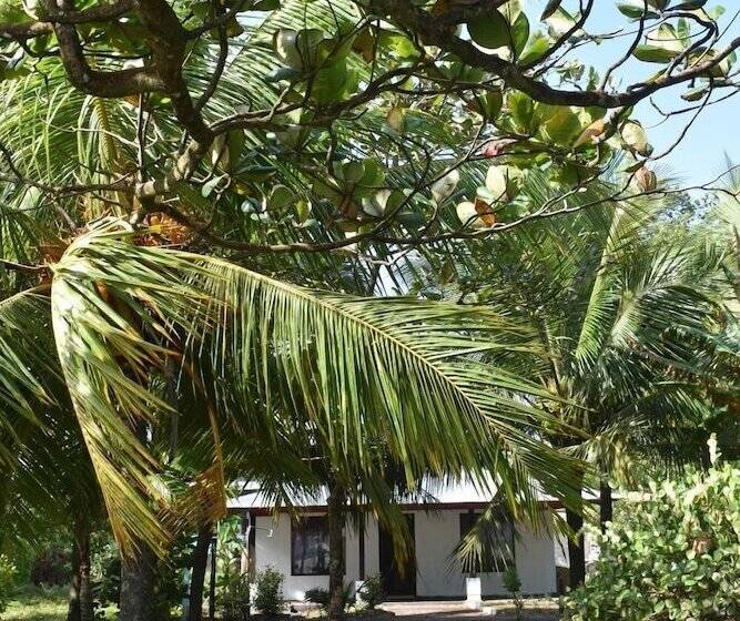 Casa Turtle Bogue   Hostel