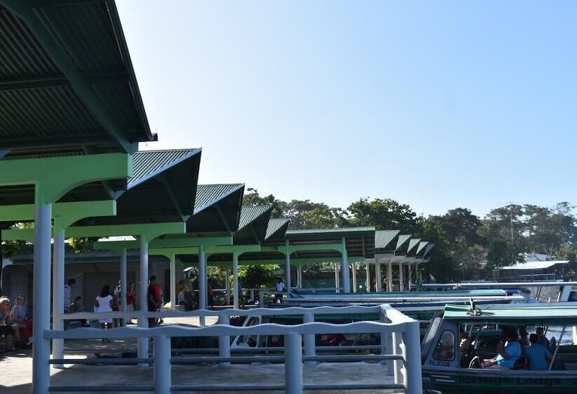 Casa Turtle Bogue   Hostel