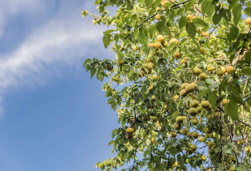 Fairyland Boutique Inn