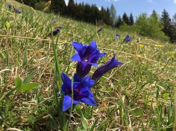 호텔 Alte Postvilla