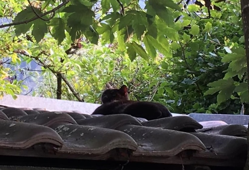 호텔 Alte Postvilla