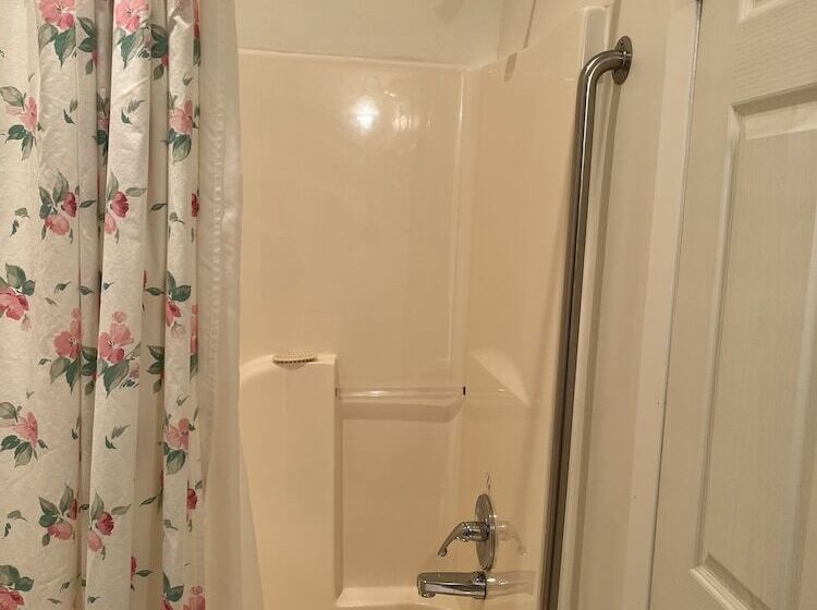 بنسيون At The White House