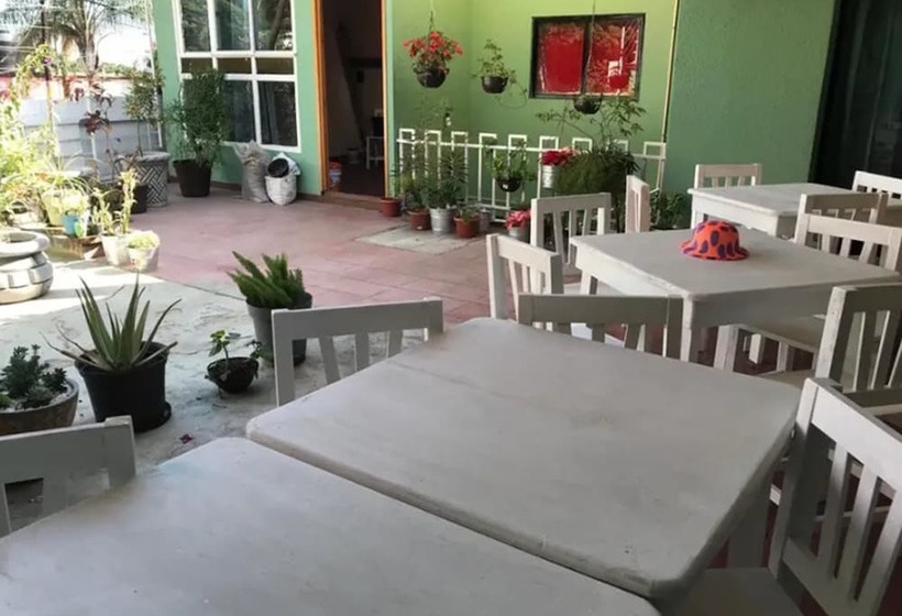 پانسیون Casa Orquideas