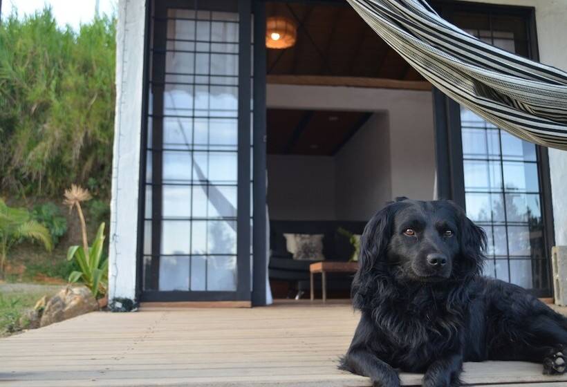 ペンション Finca Alexandría