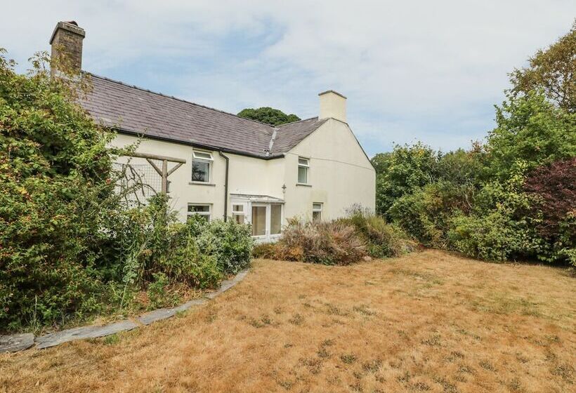 Plas Mawr
