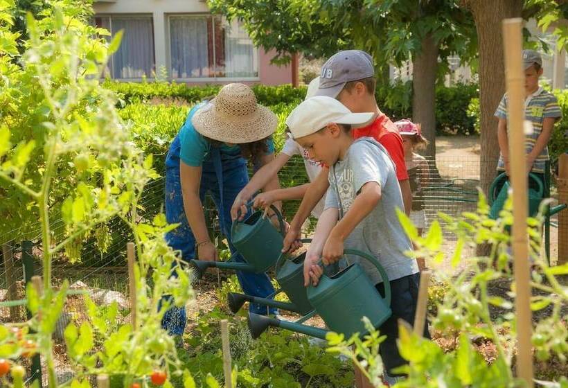 אתר נופש Village Vacances Lo Solehau