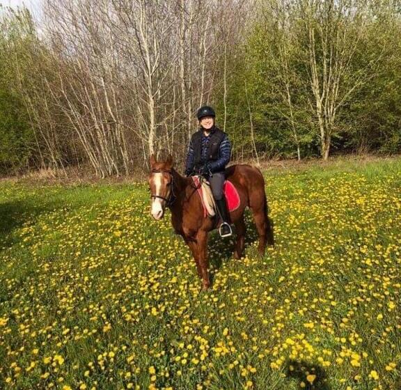 B&b Bloemenweelde