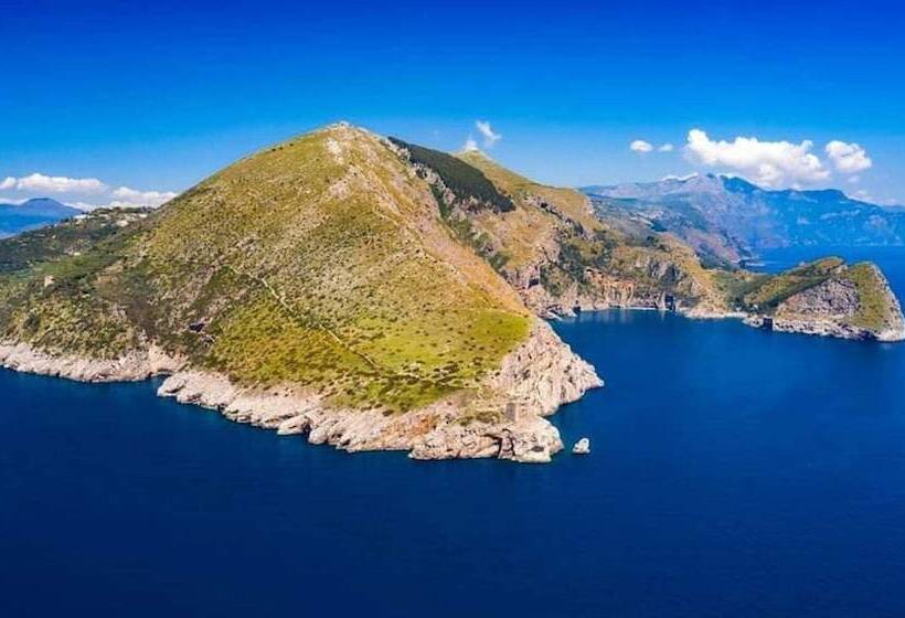 هتل Domus San Vincenzo