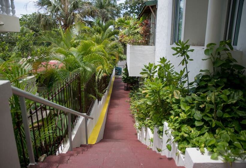 Fotos del hotel Neptuno's Refugio:  14