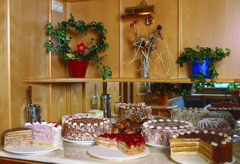 Отель Panorama / Cafe Wimmer