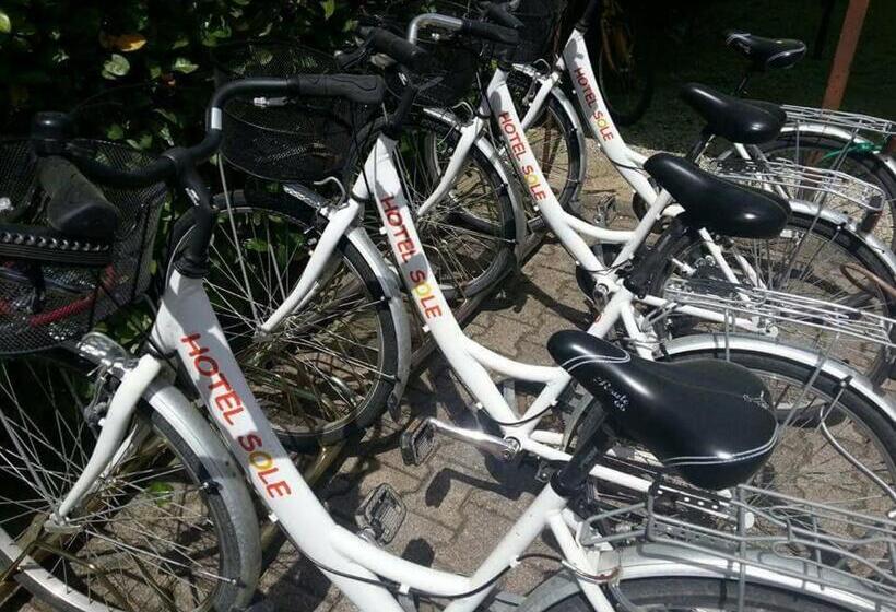 בית מלון כפרי Sole