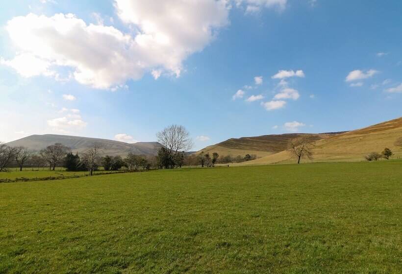 Meadow View
