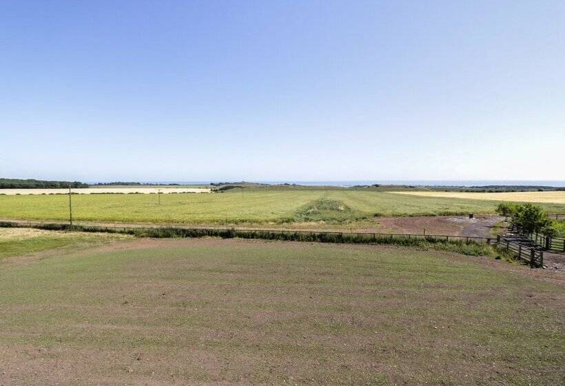Newton View