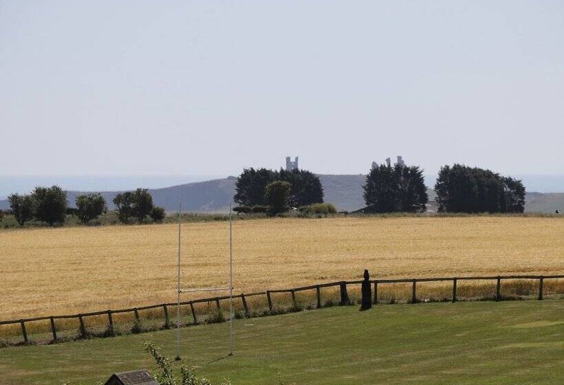 Newton View
