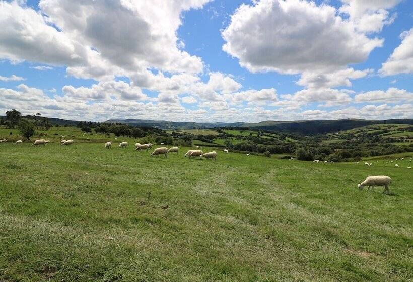 Shepherd S View