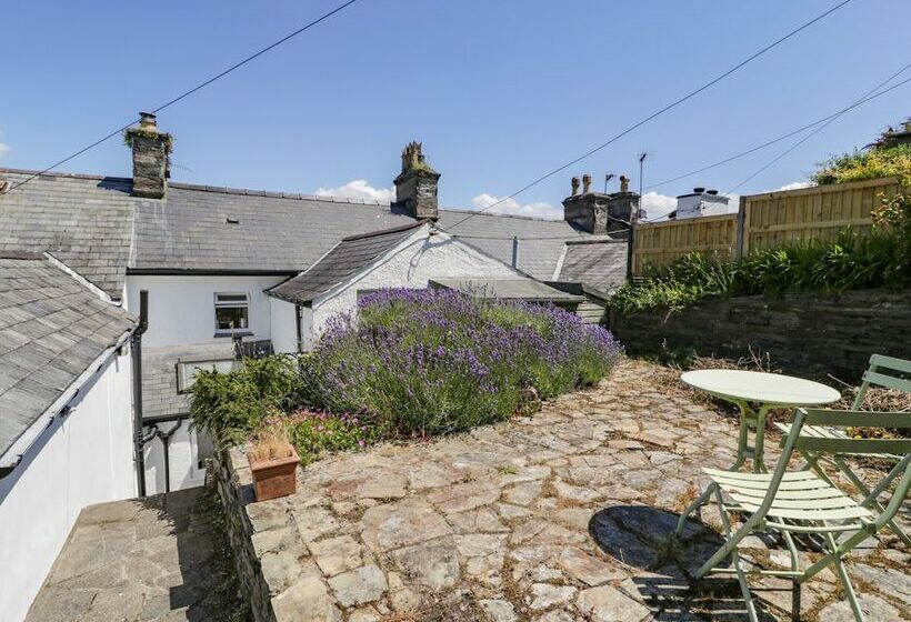 7 Ivy Terrace