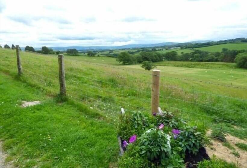 Black Mountain View