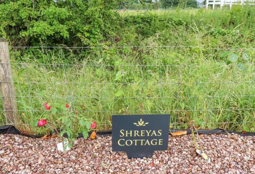 Sunnyside Shreyas