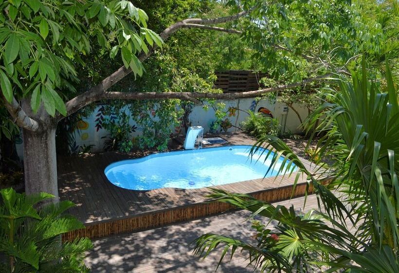 هاستل La Negrita Hotel Adults Only