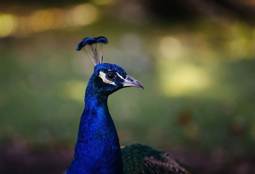 ホテル Estancia La Bandada