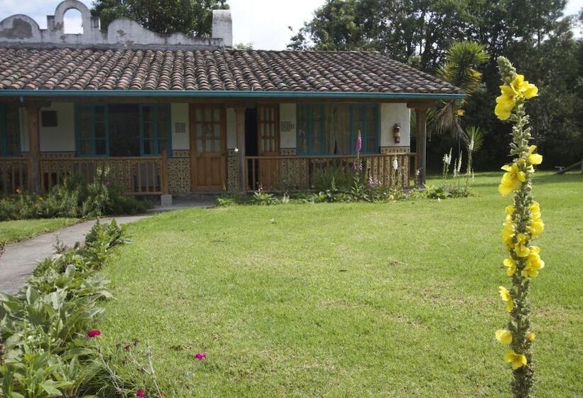 בית מלון כפרי Las Palmeras Inn