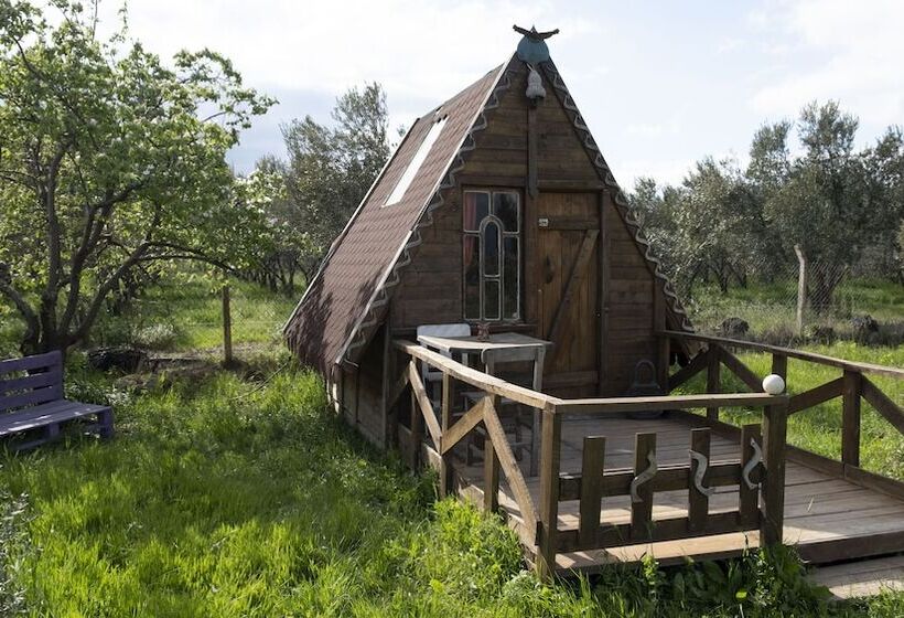 Hotel Teos Sanat Kampi