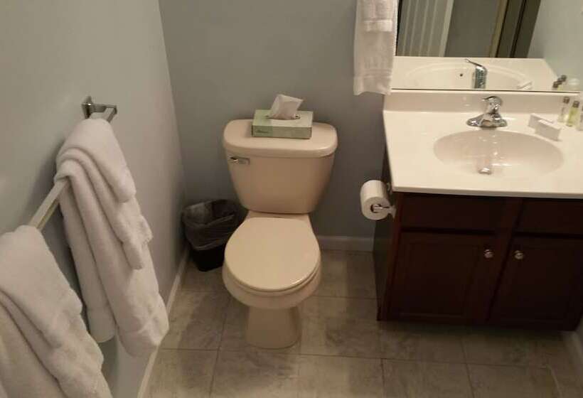 فندق The Village At Pocono