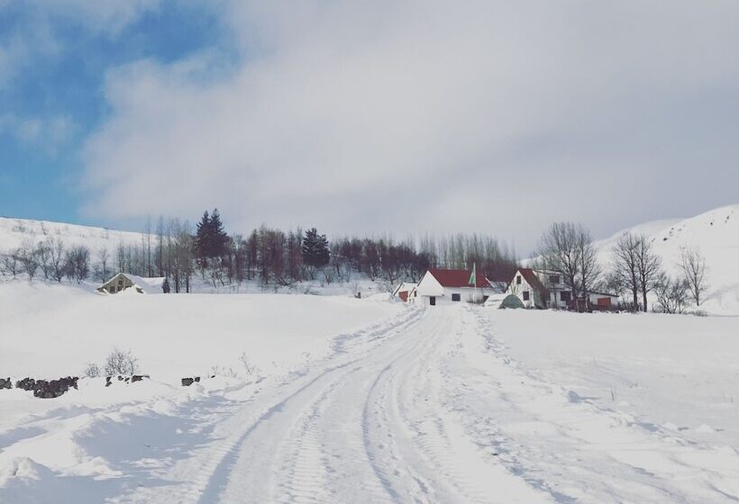 پانسیون Dalshöfði Guesthouse