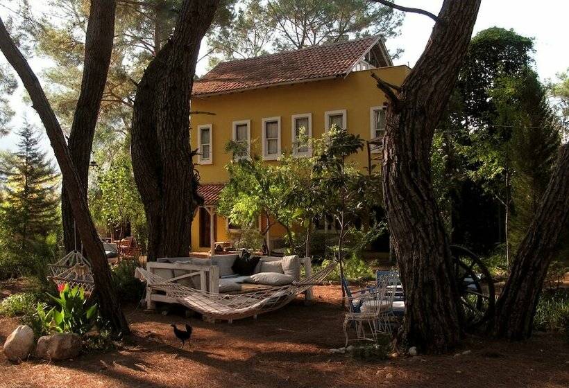 پانسیون Daphne House