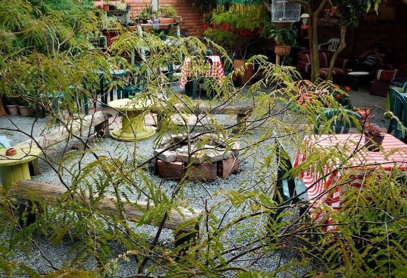 پانسیون Seeds & Roots Raíces Y Semillas