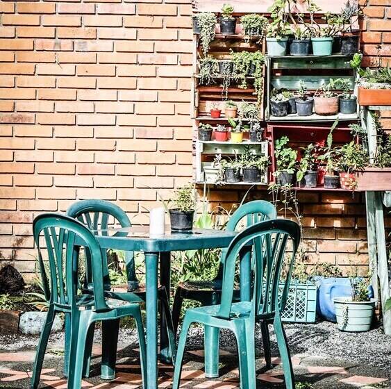 پانسیون Seeds & Roots Raíces Y Semillas