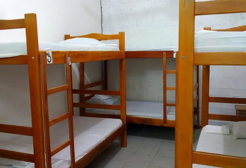 Tauma Hostal & Camping