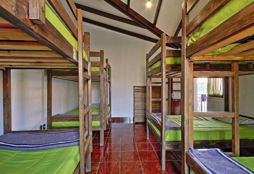 The Celtic Cross   Hostel