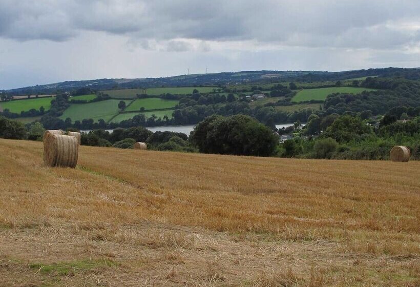The Meadow