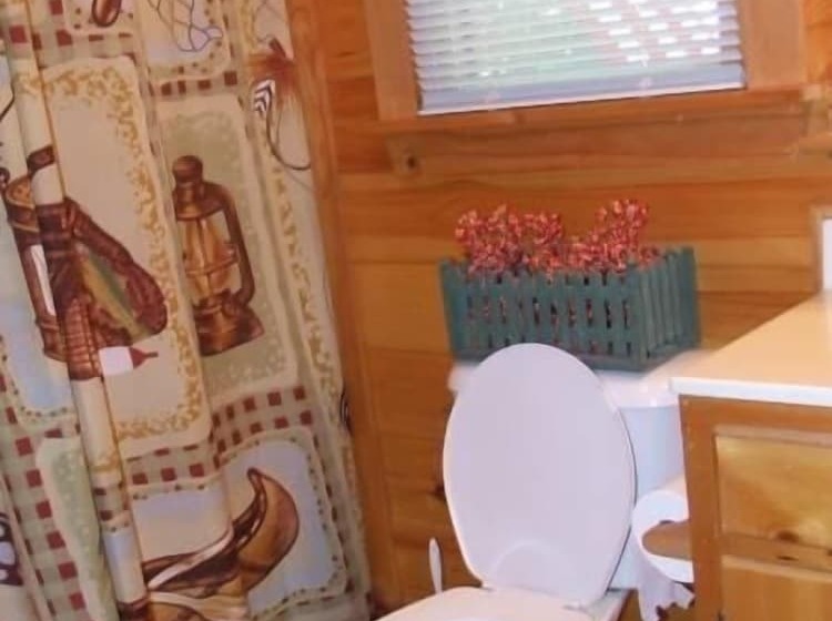 Turkey Feather Nevaeh Cabin Rentals