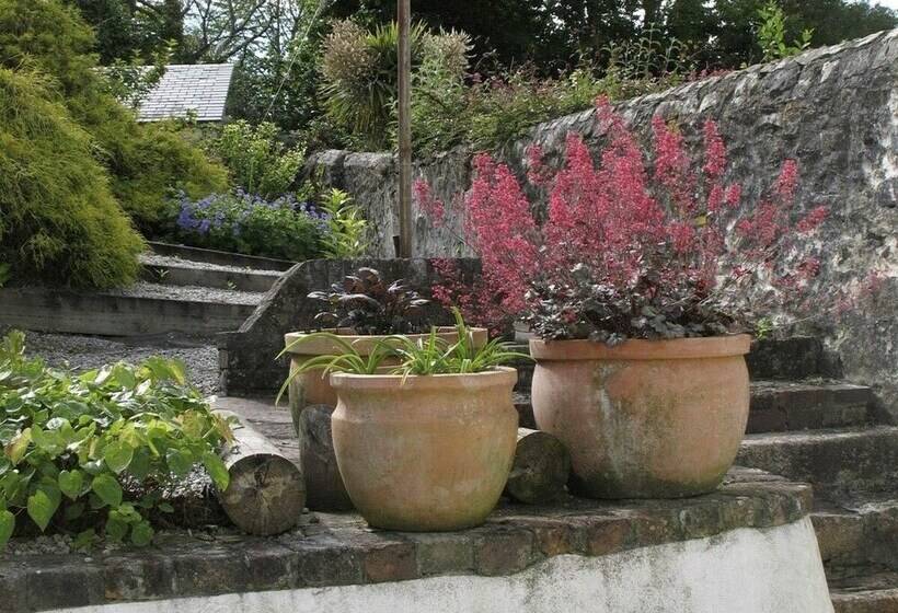 White Duck Cottage