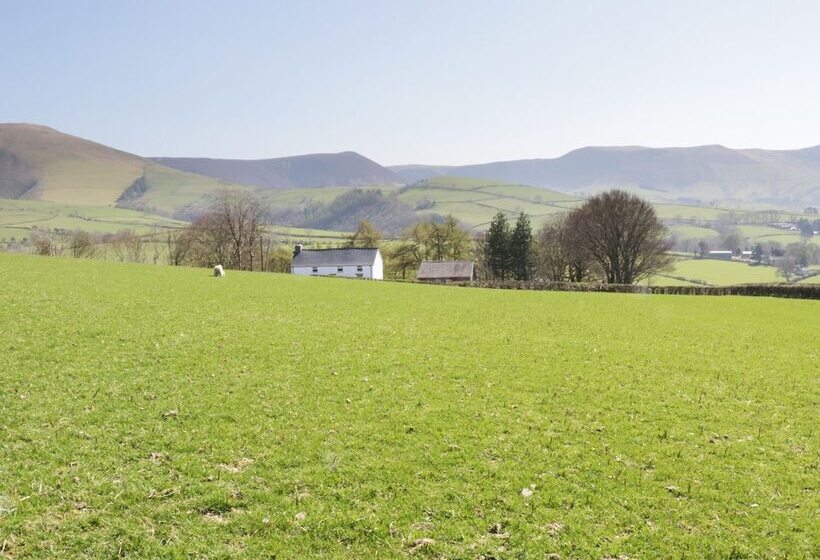 Bryndan
