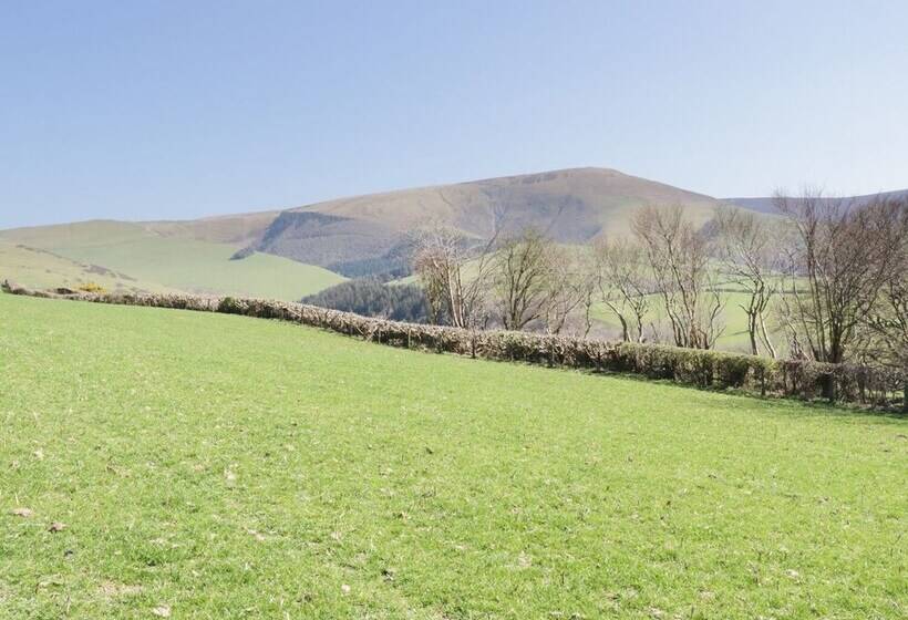 Bryndan