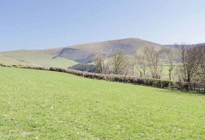 Bryndan