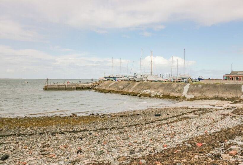 Driftwood, 23 Roa Island