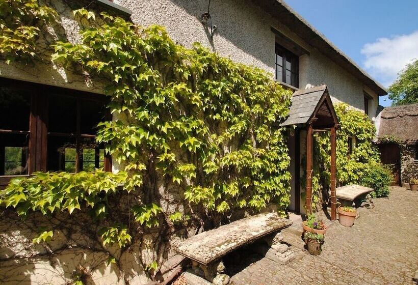 Hope Cottage