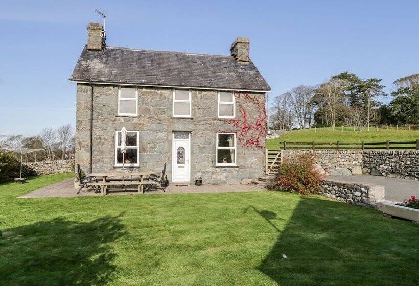 Tyddyn