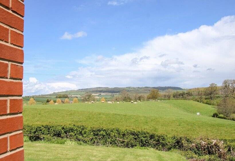 Bryn Caer