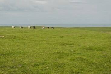 Corsewall Castle Farm Lodges