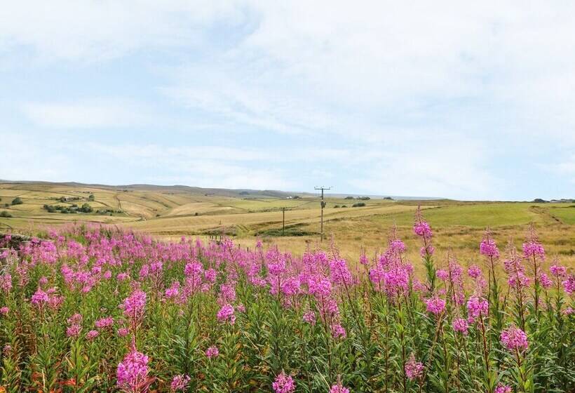 New Cottage Farm
