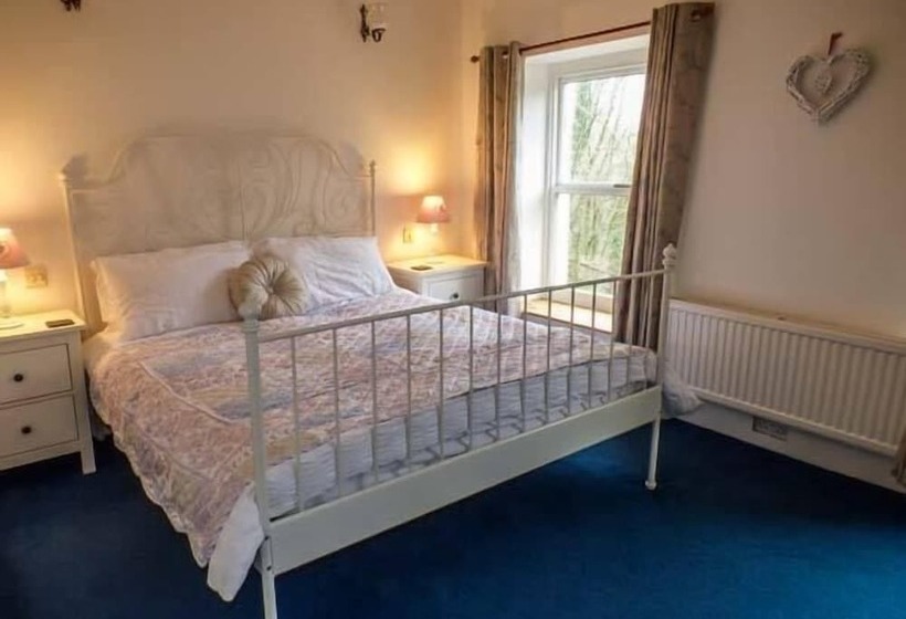 Teifi House