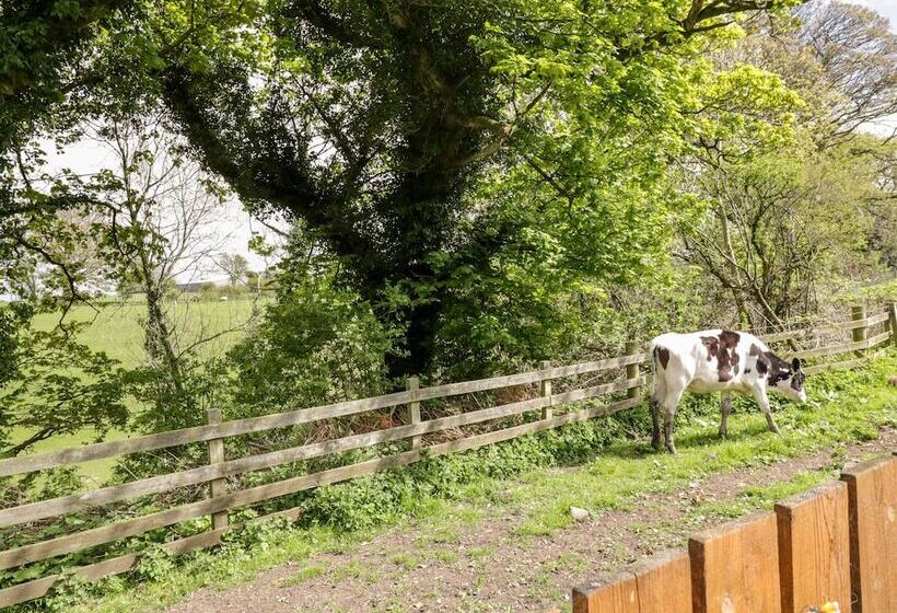 The Old Grainstore