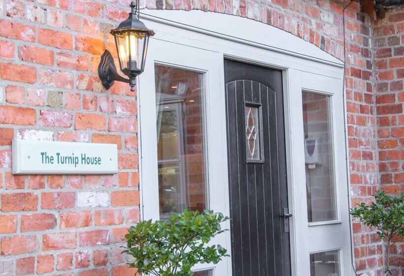 The Turnip House