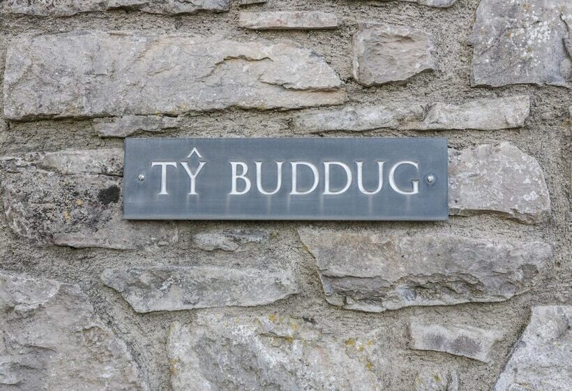 Ty Buddug