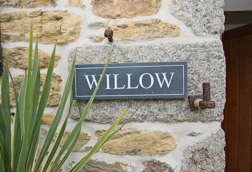Willow
